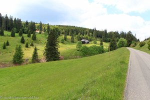 Wanderweg von Blasiwald-Sommerseite ins Muchenland