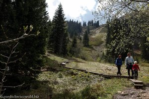 Wanderweg über das Flachmoor