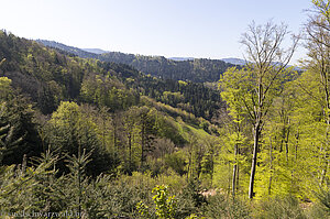 Wälder nahe der Schwarzenburg