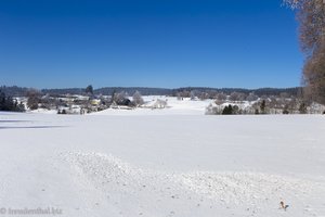 Winterlandschaft zwischen Rothaus und Dürrenbühl