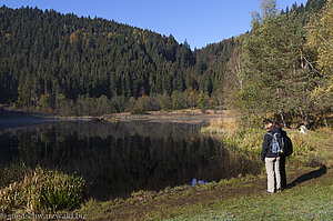 Herbstidylle am Sankenbachsee