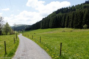 bequemer Fußweg von Bernau-Hof nach Weierle