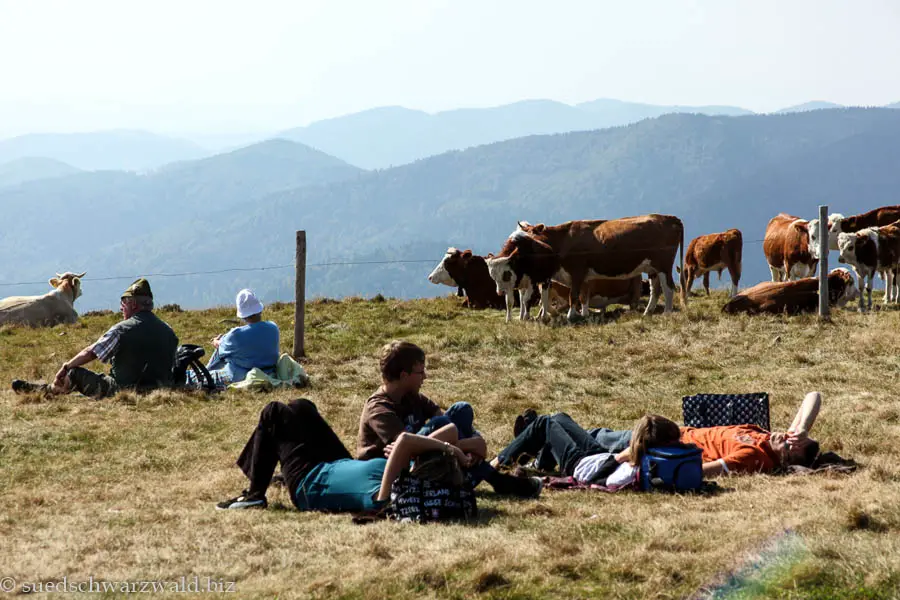 Sonnenbad auf dem Belchen