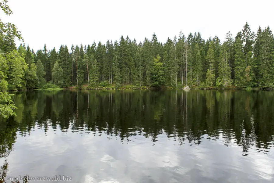 Mathisleweiher bei Hinterzarten