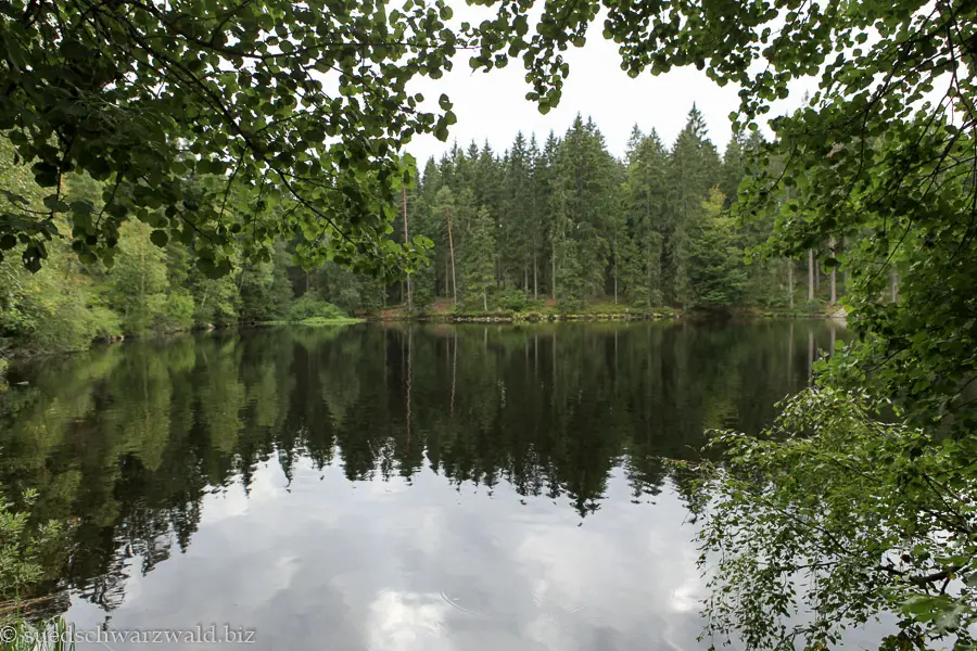 Wanderung an den Mathisleweiher