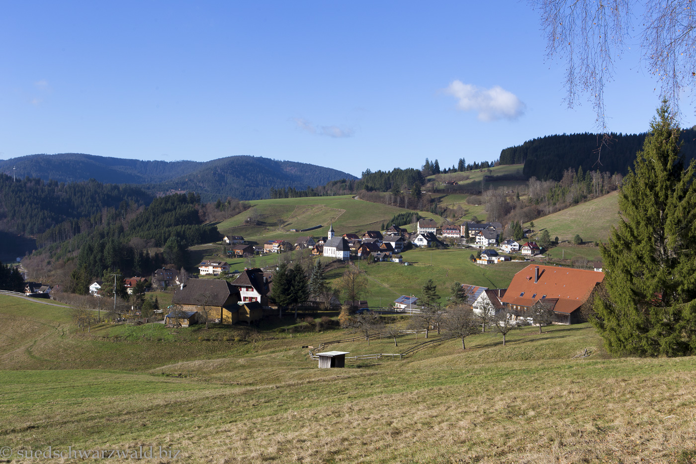 Aussicht vom Baiersbronner Panoramasteig