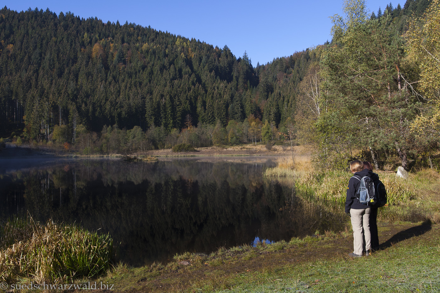 Herbstidylle am Sankenbachsee