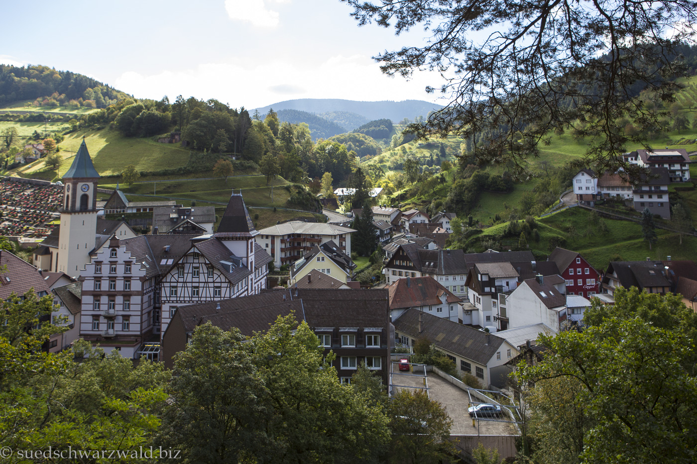 Renchtalblick auf Bad Peterstal
