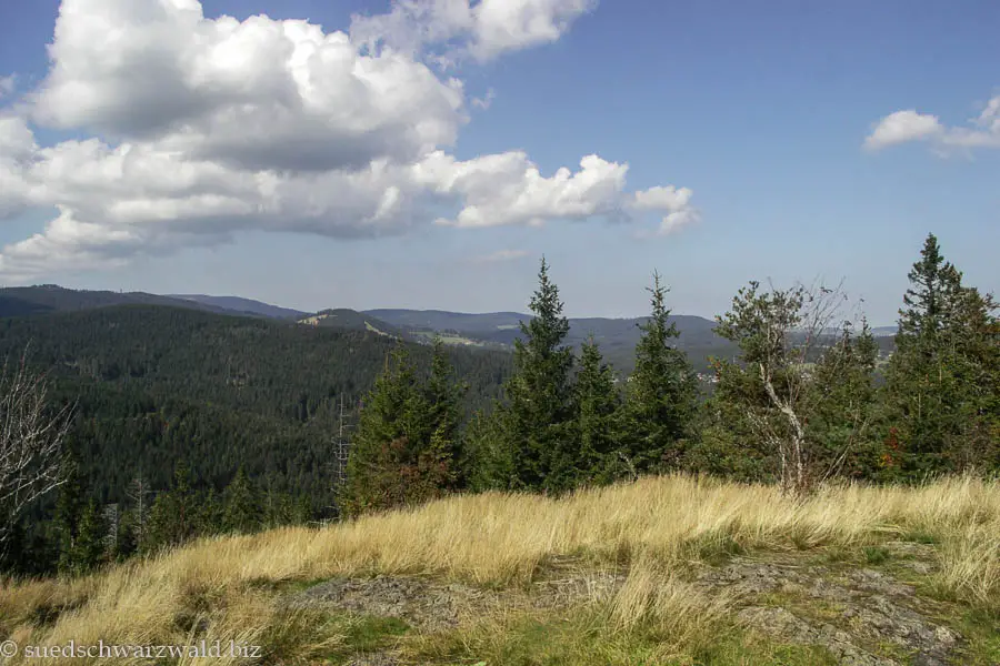 Ausblick vom Bildsteinfelsen