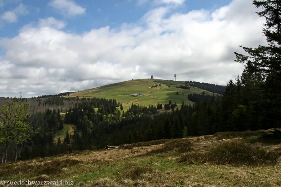 Aussicht vom Stübenwasen auf den Feldberg
