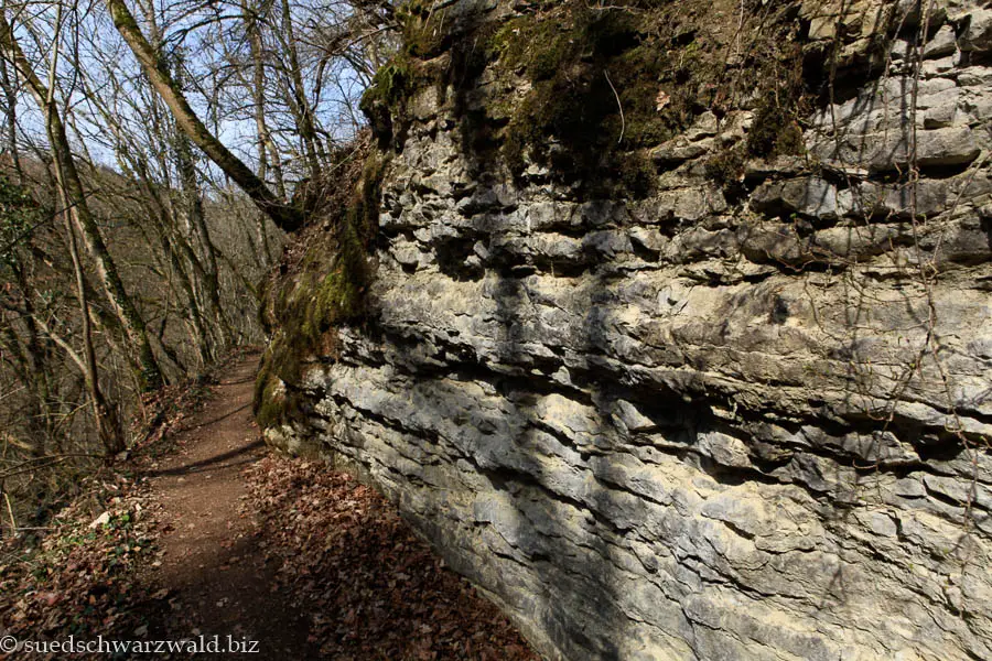 Muschelkalkwand der Wutachflühen