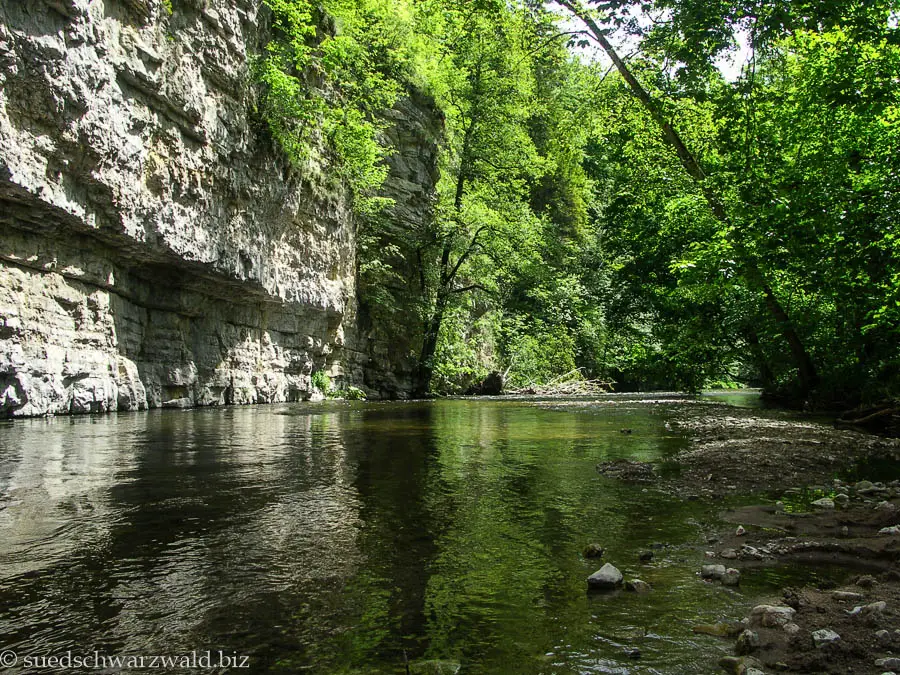 Die Wutachschlucht ist das Highlight des Schluchtensteigs