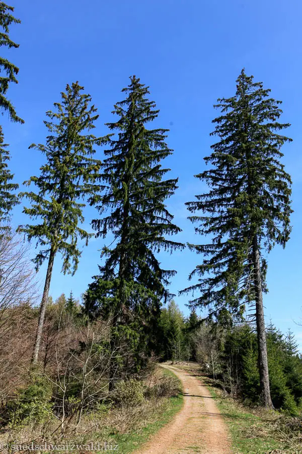 Wanderweg zum Balzer Herrgott