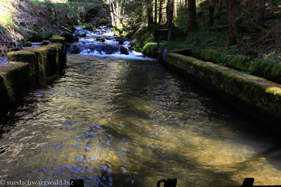 Kanal der Pfaffmühle in Wildgutach