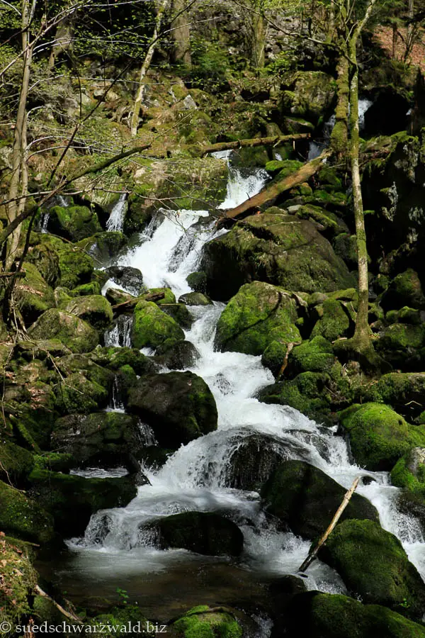 Kaskaden in der Teichbachschlucht