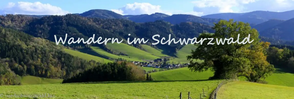 Wandern im Schwarzwald Wandern im Schwarzwald