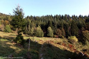 Wanderweg über den Mittelbühl auf den Belchen