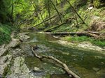 Naturbelassener Abschnitt der Gauchachschlucht