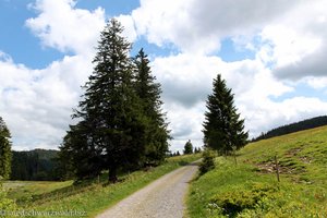 Weg zur Krunkelbachhütte