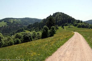 Alm nahe Neuenweg