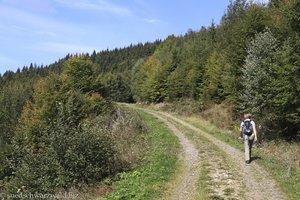 Wanderweg nach Muggenbrunn