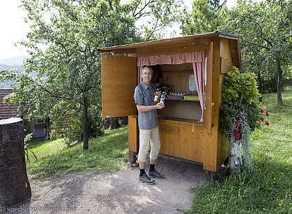 Auf dem Brennersteig von Oberkirch