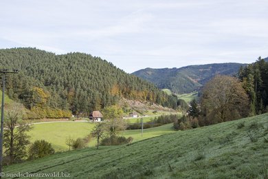 Aussicht über das Steinenbachtal