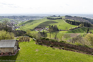 Durbacher Weinberge