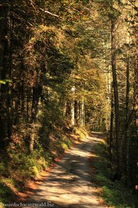 Wanderweg durchs Brennerloch