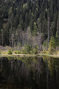 Blick zur Insel auf dem Ellbachsee