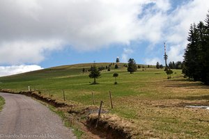 auf dem Weg zum Feldberg