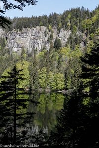 Blick über den Feldsee