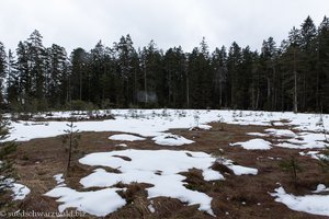 Winterlicher Blindsee, ein Hochmoor