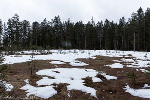 schneebedeckter Blindsee im Winter