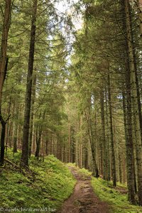 Wanderweg auf den Hochfirst