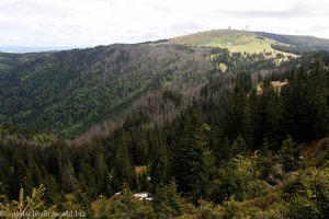 Blick vom Stübenwasen Richtung Feldberg