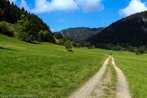 Wanderweg im Menzenschwander Albtal