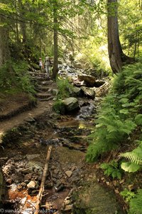 Wanderweg am Sägebach