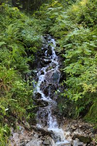 Kleiner Wasserfall unterhalb Grafenmatt