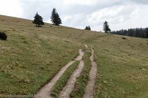 Wanderweg zur St. Wilhelmer Hütte