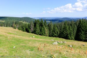 Aussicht vom Baldenweger Buck