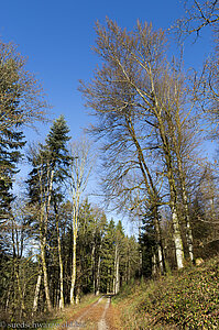 Aufstieg zum Verlobungsfelsen