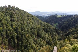 Blick von der Burg Wieladingen in die Schweiz