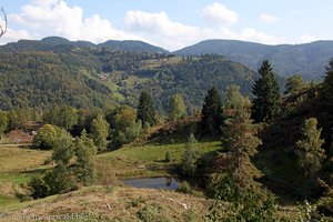 Lichtung zwischen Schönau und Aitern