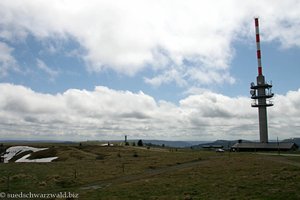 auf dem Feldberg