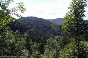 Blick über die Wälder vom Höllental