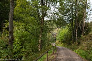 Wanderweg von Hinterzarten ins Löffeltal
