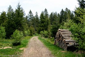 Klosterweg nach St. Blasien