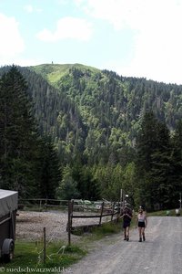 Blick hoch zum Feldberg