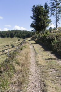 Wanderweg im Bereich Vorder-Ibach